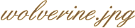 wolverine.jpg