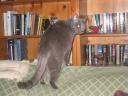 img_1979_m.jpg